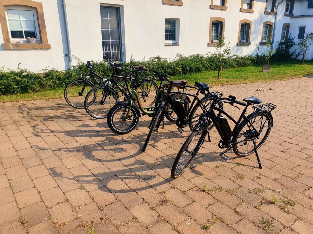 Grosse Bauernhaus Ferienwohnungen Bis 100Qm Mit E-Bike-Verleih Bad Rothenfelde Ngoại thất bức ảnh
